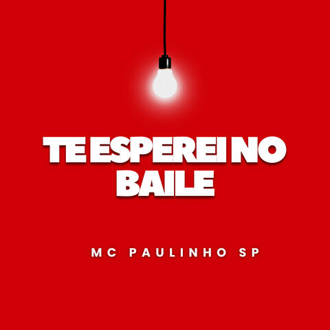Te Esperei no Baile album art