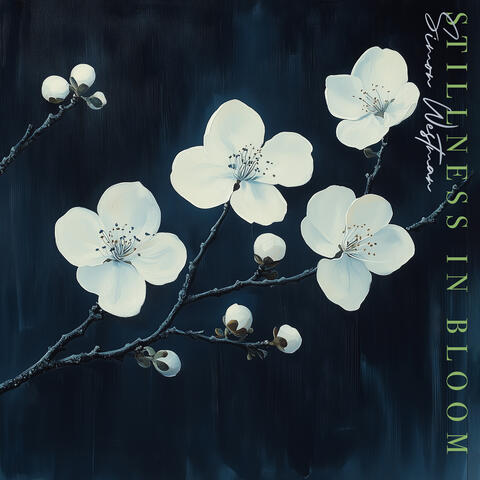 Stillness In Bloom album art