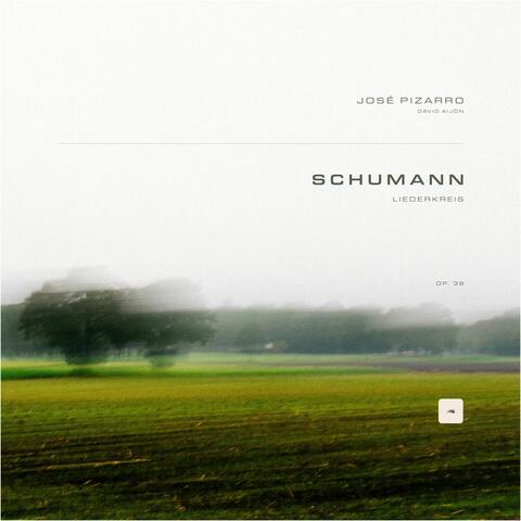 Liederkreis, Op. 39 album art
