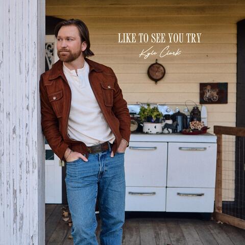 Like To See You Try album art