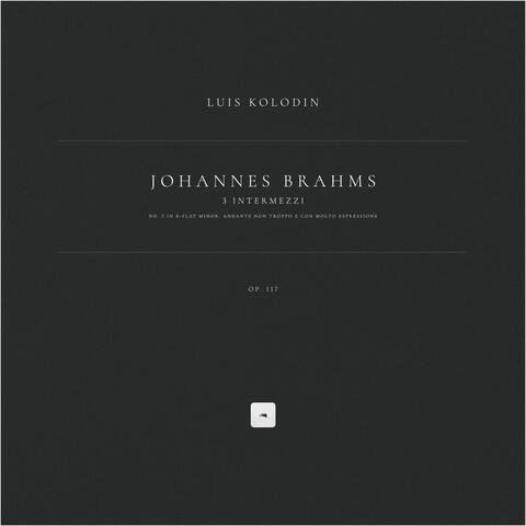 3 Intermezzi, Op. 117: No. 2 in B-Flat Minor. Andante non troppo e con molto espressione album art