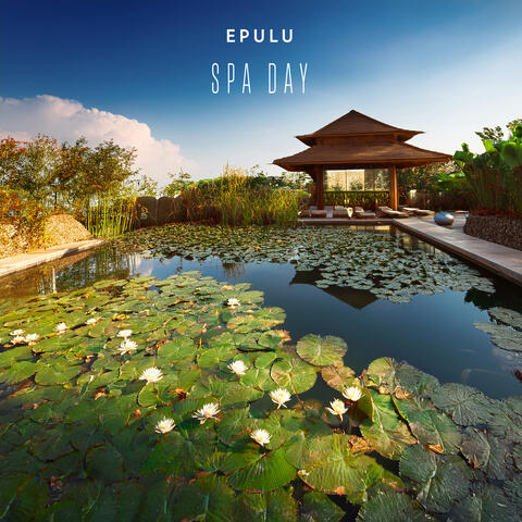 Spa Day album art