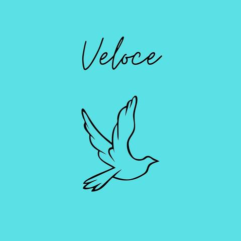 Veloce album art