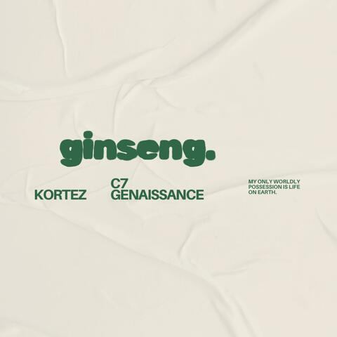 ginseng [rough] album art