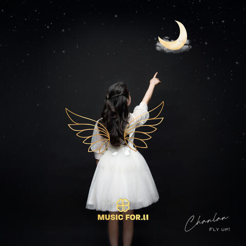 Fly up! album art