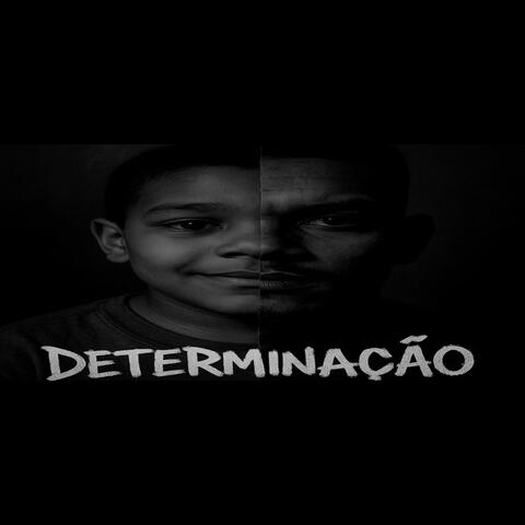 Determinação album art