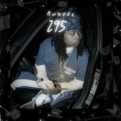 295 album art