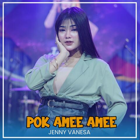 Pok Amee Amee album art