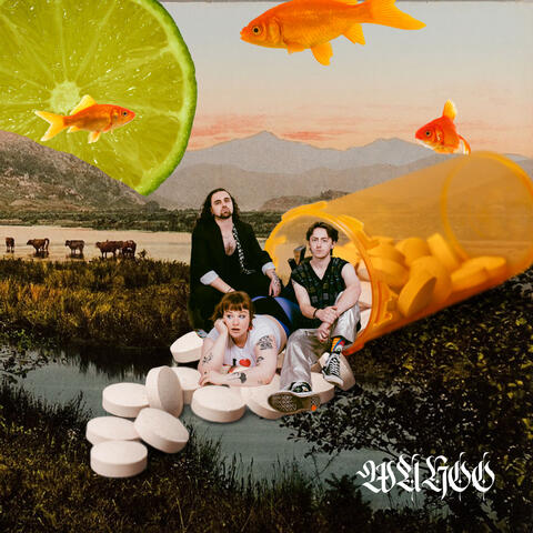 Wahoo album art