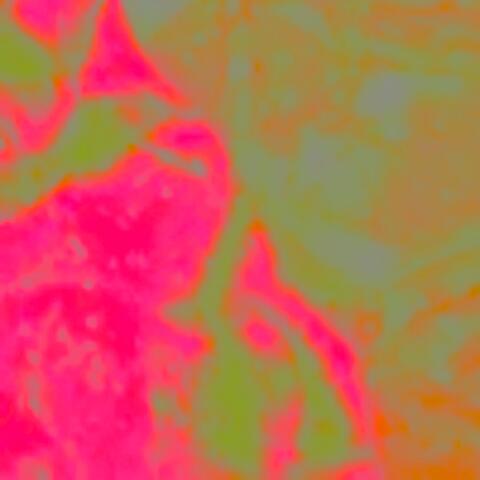 BAILAR album art