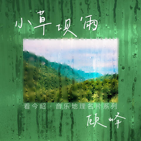 小草壩'雨 album art