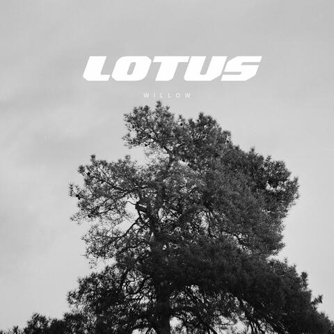 LOTUS album art