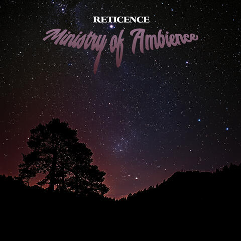 Reticence album art
