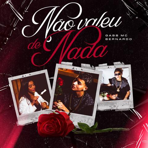 Não Valeu de Nada album art
