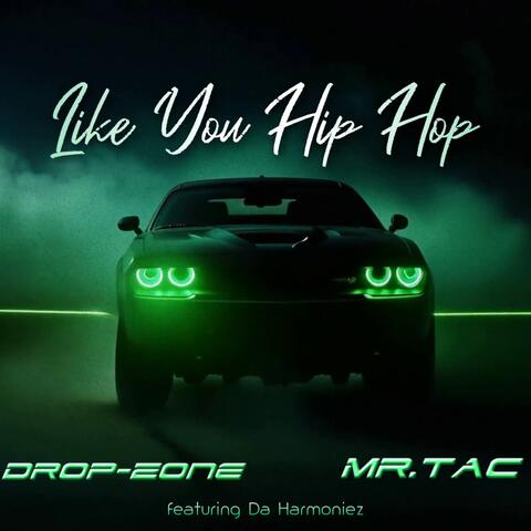 Like You Hip Hop album art