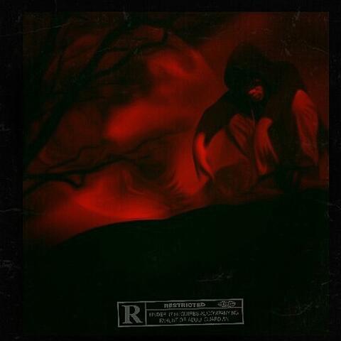 I SLAY DRGNS album art