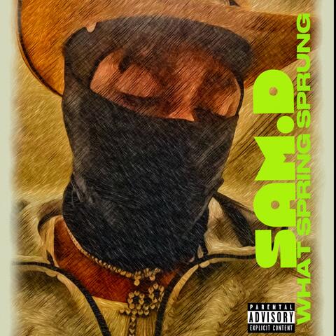 What Spring Sprung album art