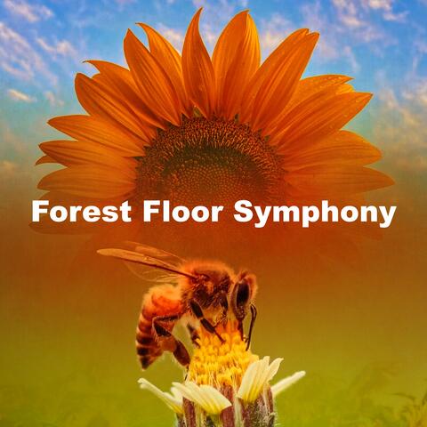 Forest Floor Symphony album art