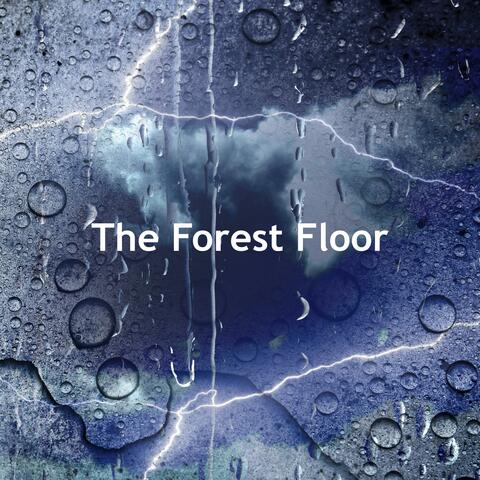 The Forest Floor album art
