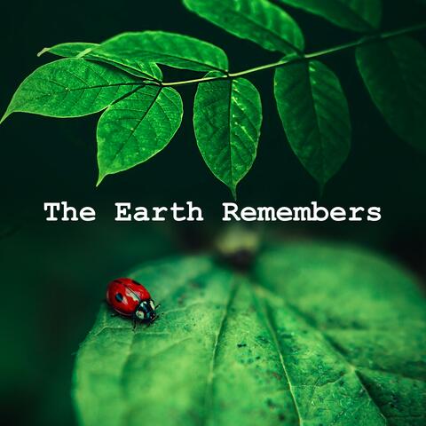 The Earth Remembers album art
