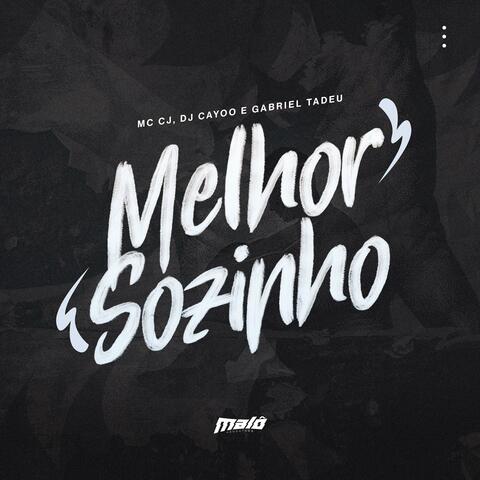 Melhor Sozinho album art
