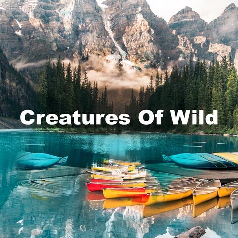 Creatures Of Wild album art