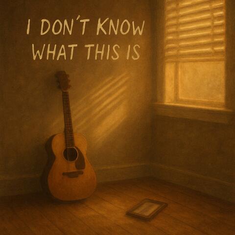 I Don't Know What This Is album art