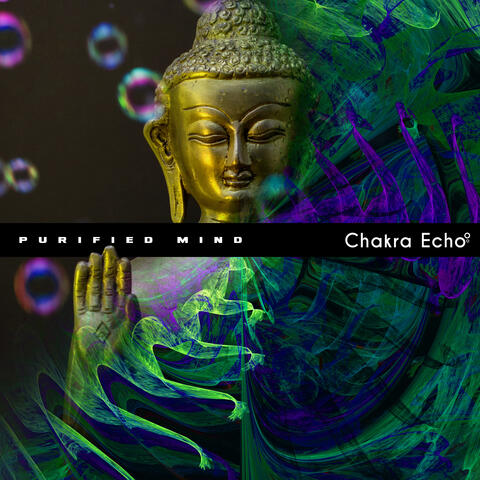 Purified Mind album art