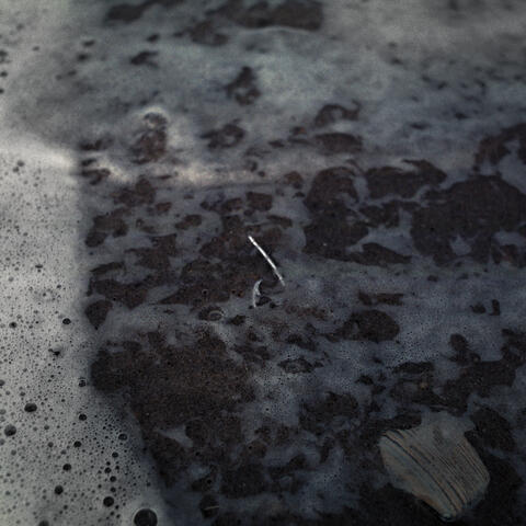 Alegria album art