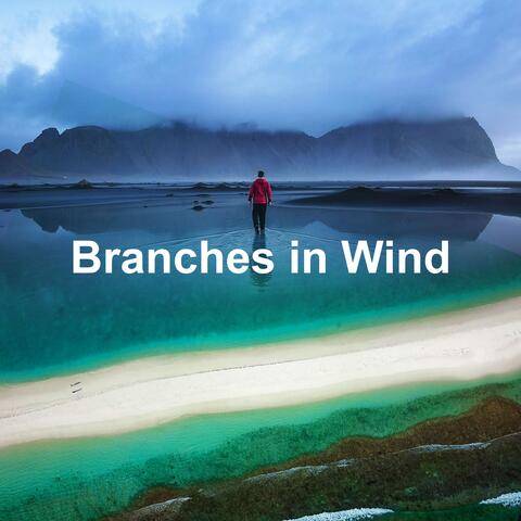 Branches in Wind album art