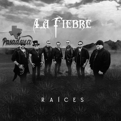 Raíces album art