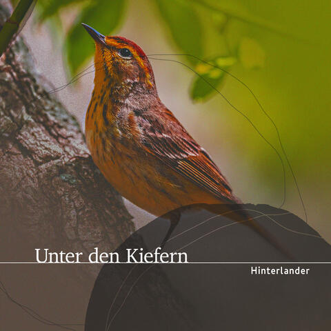 Unter den Kiefern album art