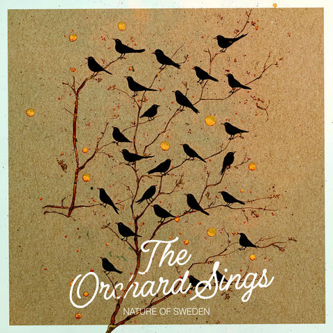 The Orchard Sings album art