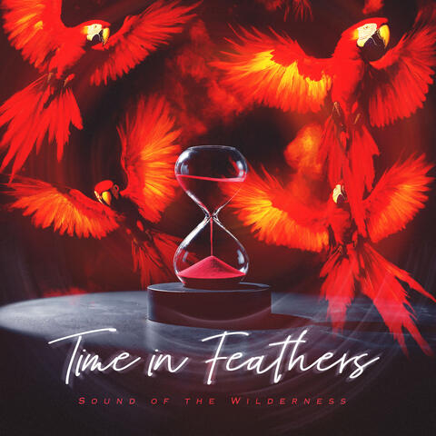Time in Feathers album art