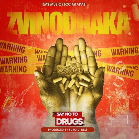 Zvinodhaka album art