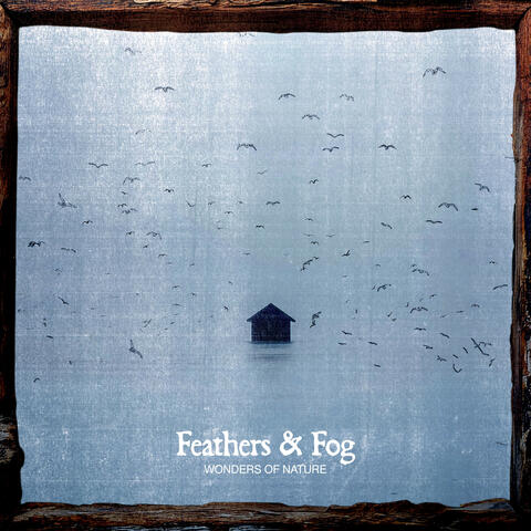 Feathers & Fog album art