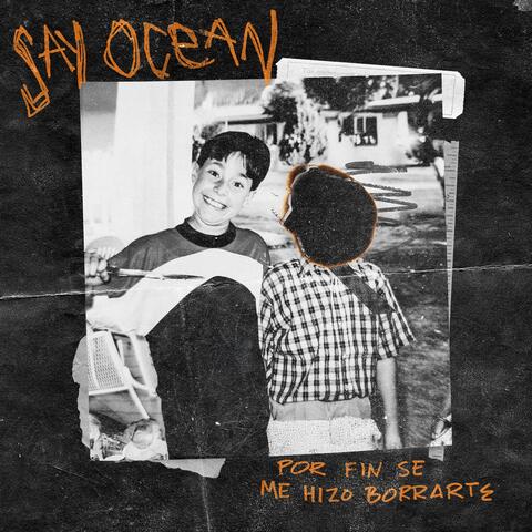 Por fin se me hizo borrarte album art