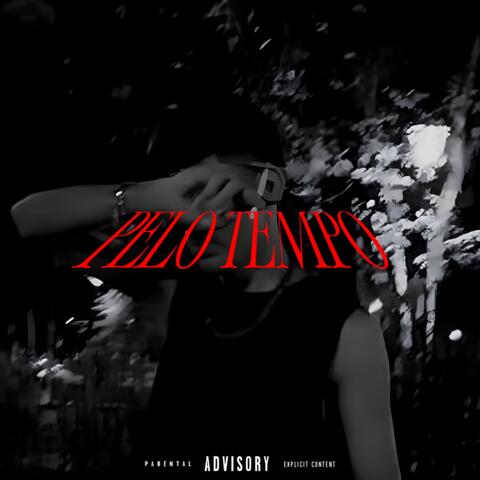 Pelo Tempo album art