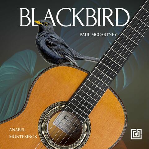 Blackbird album art