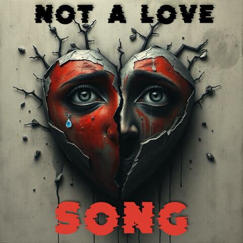 Not A Love Song album art