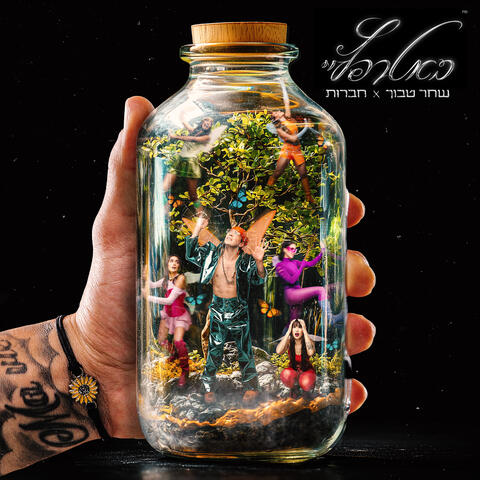 באטרפליי album art