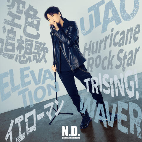 N.D. album art