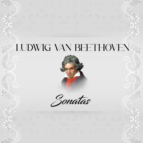 Ludwig van Beethoven, Sonatas album art