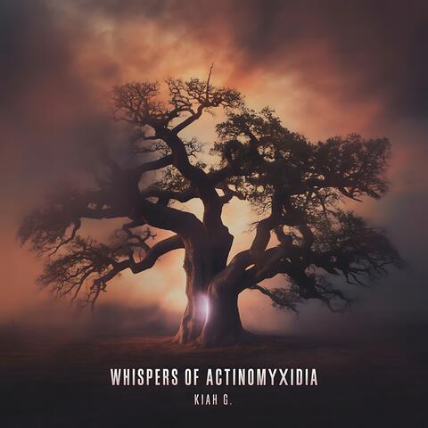 Whispers of Actinomyxidia album art