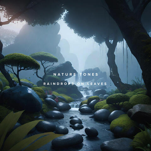 Raindrops on Leaves album art