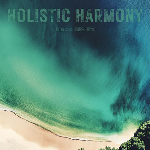 Muon 852 Hz album art