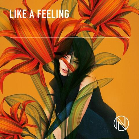 Like A Feeling album art