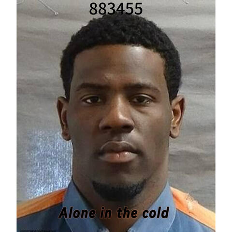 Alone In The Cold album art