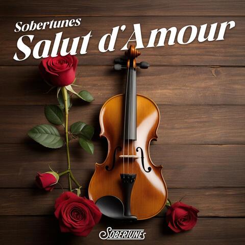 Salut d'Amour album art