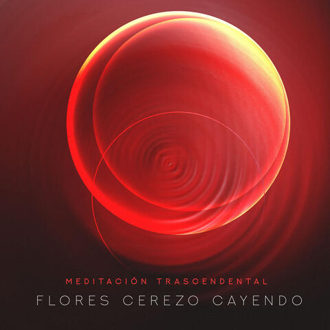 Flores Cerezo Cayendo album art